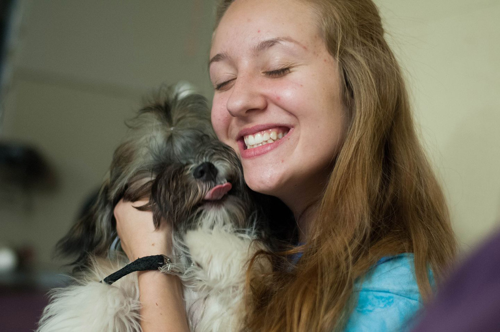 Dog Boarding at Das Hund Haus